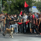 Illustration for article titled The Heroic Riot Dog of Greece